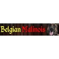 Belgian Malinois coupons
